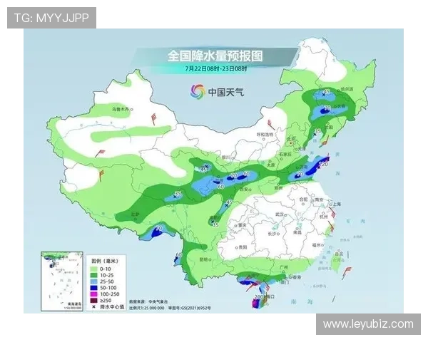 帕利尼亚大范围覆盖能力解析