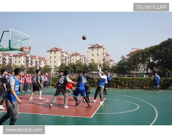 篮球跳球规则解析：开球程序与适用范围